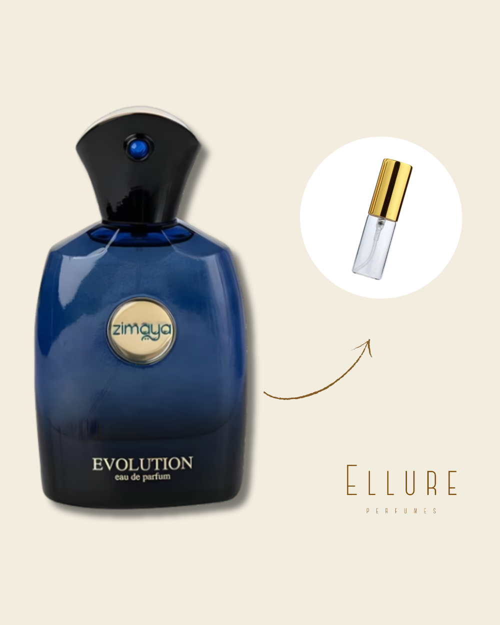 Evoluiton