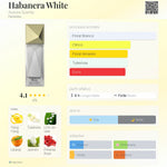 Habanera White