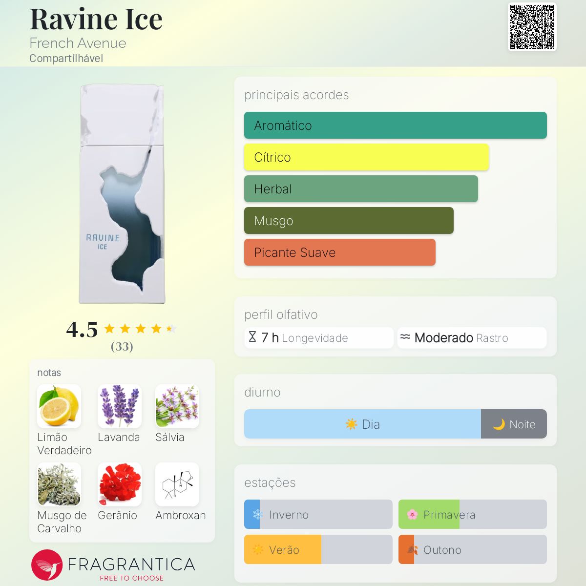 Ravine Ice
