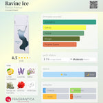 Ravine Ice