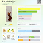 Ravine Ginger