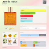 Adonis Icarus