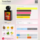 Vesuviuur
