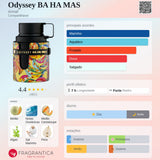 Odyssey Bahamas