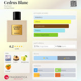 Cedrus Blanc